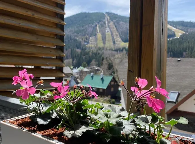 Luxusni U Sjezdovek S Garazi * Harrachov